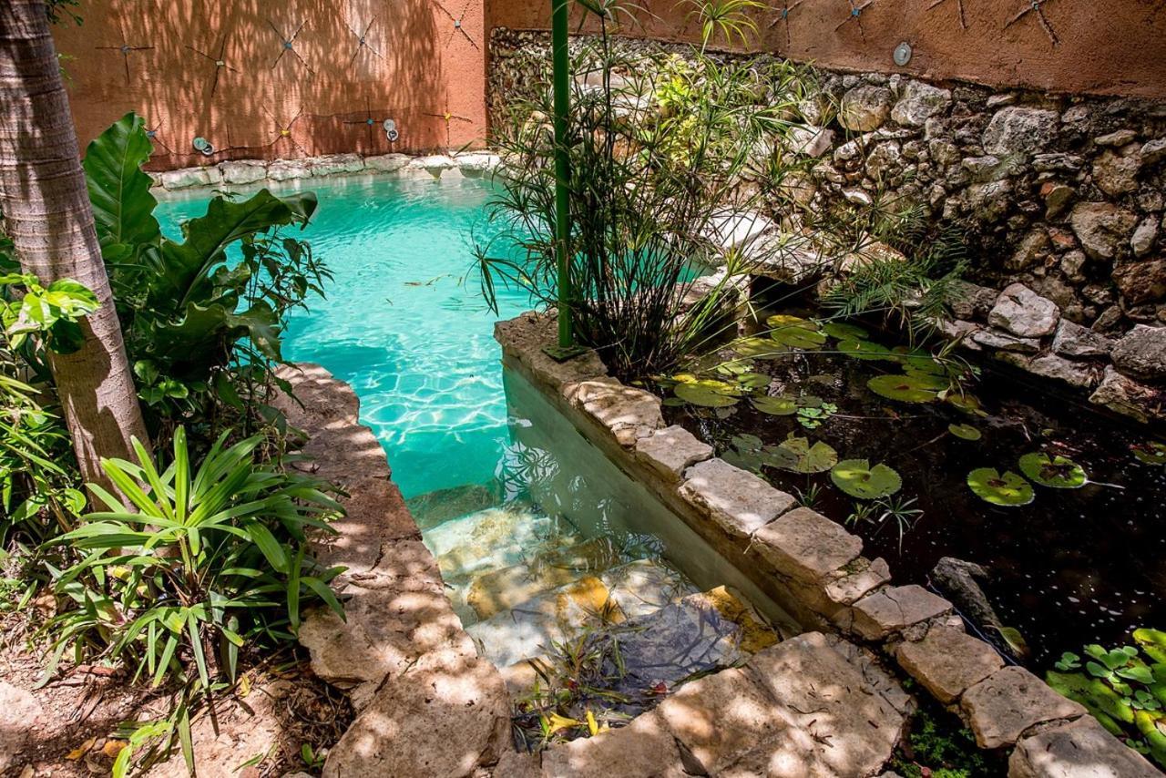 La Selva By Majikal B&B Merida Exterior photo
