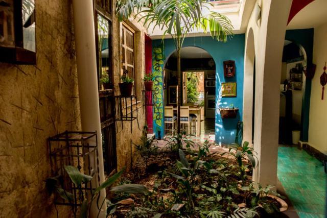 La Selva By Majikal B&B Merida Exterior photo