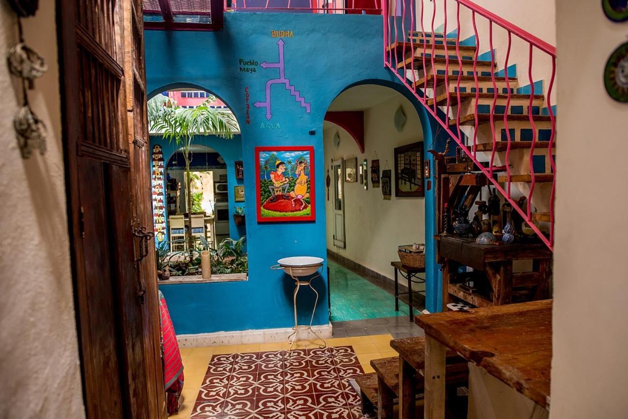 La Selva By Majikal B&B Merida Exterior photo
