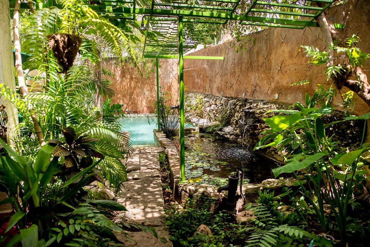 La Selva By Majikal B&B Merida Exterior photo